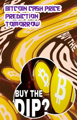 Btc live prediction