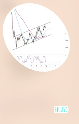Cambio dolar btc