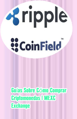 Que cripto comprar